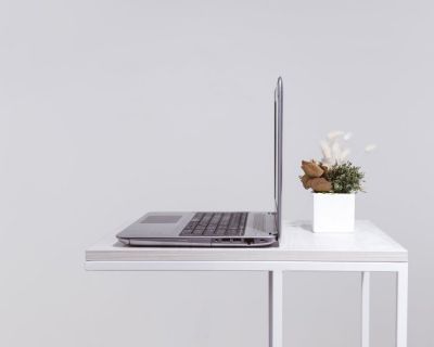 Modern Laptop and Potted Plant on Table